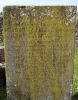 Jackson Family of Mount Pleasant, Tipperary - gravestone