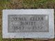 Xenia Ellen (Cooper) DeWitt - headstone